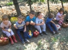 almaszuret_15