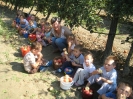 almaszuret_27