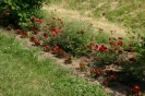ujabb_kepek_eneserol_55