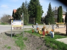 Húsvéti nyulak