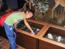 ifj_nap_34