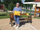 foltvarrok_kozon_5
