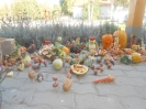 zoldsfeszt_18