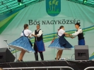 bos_nyarbucsu_3