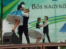 bos_nyarbucsu_5