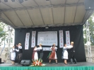 falunap_2014_11