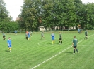 falunap_2014_15