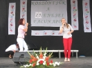 Falunap 2014