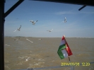 ovodasok_kir_15