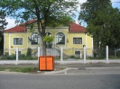 tojasfa_viragladak_10