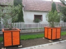 tojasfa_viragladak_7