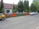 tojasfa_viragladak_8