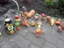 zoldsegfesztival_ovoda_12