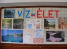 mobilis_kiserletbazar_8