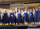 2016_hagyomanyok_napja_23