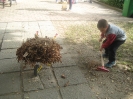 2016_takaritas_vilagnapja_14