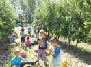 2017_almaszuret_17
