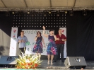 2018_falunap_7