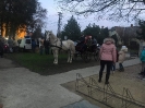2019_falumikulas_12