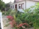 szep_kertek_7